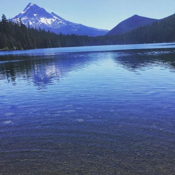 Meet your Posher, Eryn - Picture 1 of 1